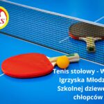 Tenis stołowy IMS ch