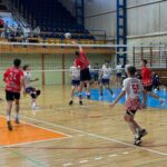 Piłka siatkowa IMS ch