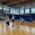 Piłka siatkowa IMS dz