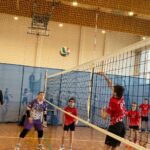 Piłka siatkowa ID ch