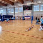 Piłka siatkowa ID dz