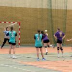 Piłka ręczna IMS dz