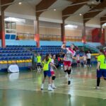 Piłka ręczna ID dz